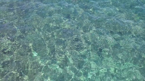 Sea Surface Ripple at Sunlight with Transparent Clear Water and Visible Sandy Bottom with Underwater