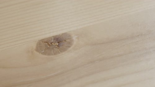 Close up of wood grain surface