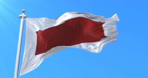 Waving Flag Animation With Replaceable Center Image