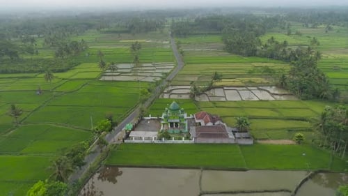 Mosque Among Rice Fields Java Indonesia