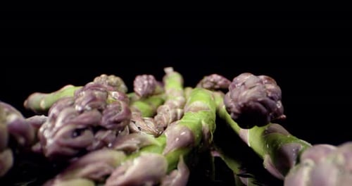 Aspargus Super Makro Nahaufnahme