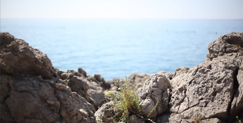 Rocas en la orilla del mar