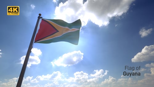 Guyana Flag on a Flagpole V4 - 4K