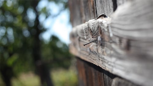 Nail In Old Wood