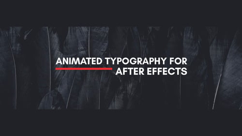 The Minimalist - Animated Titles