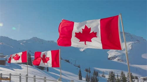 Canadian Flags Fluttering in Snowy Mountain Landscape