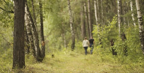 Mann und Frau gehen im Wald