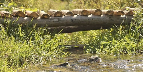 Man Walks On Wooden Bridge