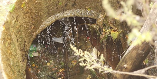 Water Flowing Through Mossy Concrete Culvert