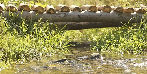 Wooden Bridge Over Creek 2