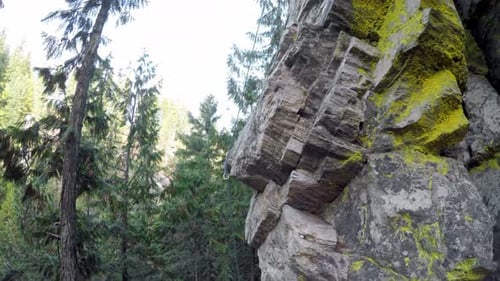Mountaineer rock climbing on the cliff in forest