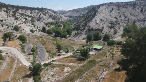 Agriculture Plant