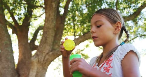 Girl Blowing Soap Bubbles in the Sunshine