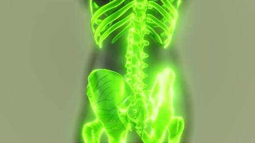 Glowing Green Human Skeleton 3D Medical Scan Animation