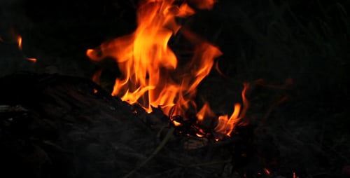 Feuer Flamme 5