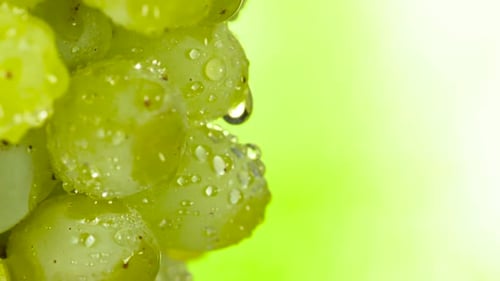 Close-Up Shot of Fresh Green Grapes
