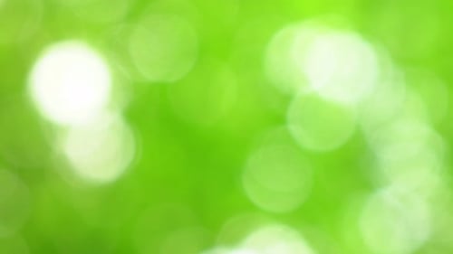 Nature Bokeh
