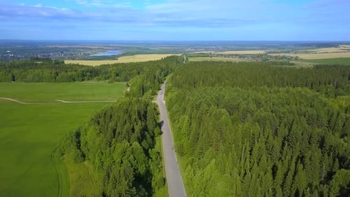 A bird's-eye view of the forest with the road