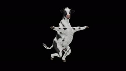 Funny Dancing Cow Character 3D Animation Loop