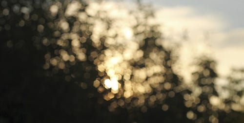 Sunshine Bokeh