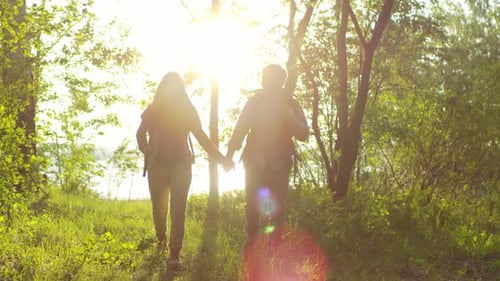 Romantisches Paar hält sich an den Händen und geht bei Sonnenuntergang im Wald spazieren