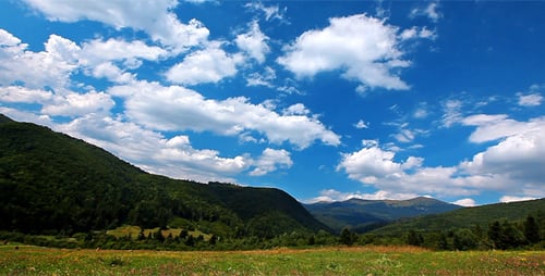 Picturesque Mountain Meadow Landscape on a Sunny Day