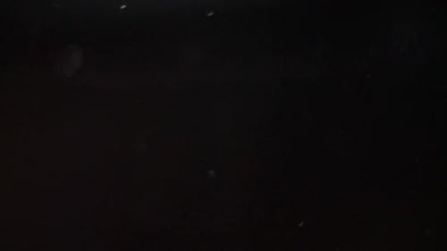 Fondo negro niebla