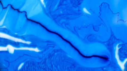 Paint