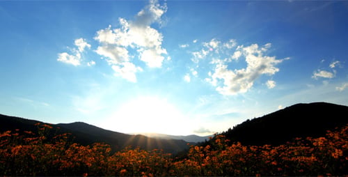 Paysage de montagne