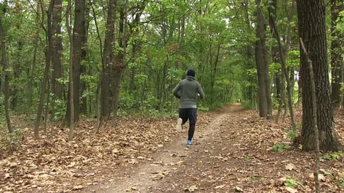Man Runs Along Leafy Path in Green Forest