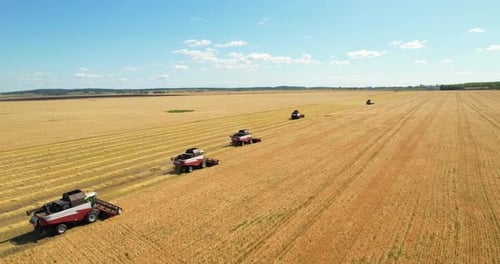 Agricultural work. The harvest season.