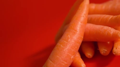 Tasty Orange Carrots on a Red Background