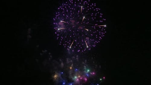Fireworks Explode in the Night Sky