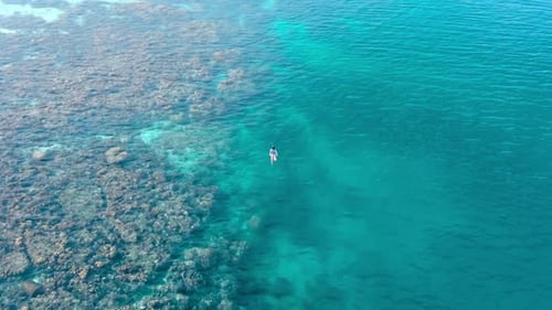 Aerial slow motion: woman snorkeling on coral reef tropical sea from above