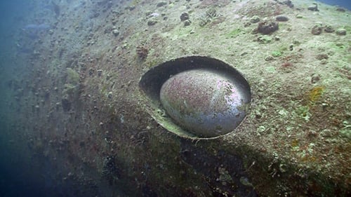 Shipwreck on the Seabed, Red Sea