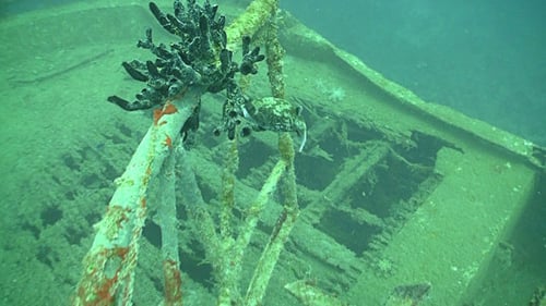 Shipwreck on the Seabed, Red Sea