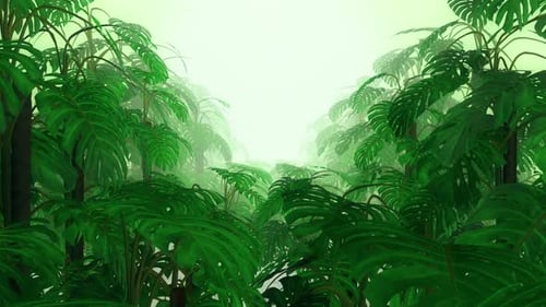 Lush Green Tropical Rainforest Plants Animation Background