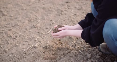 Person Holding Soil in Rural Field