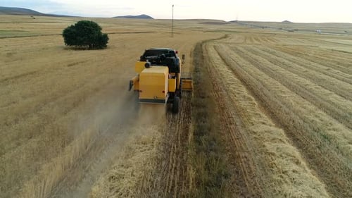 Ernte durch Landwirte