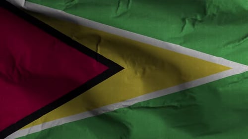Realistic Waving Flag of Guyana for National or International Projects