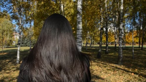 Business Girl Black Hair Back View Walks Along a Birch Grove