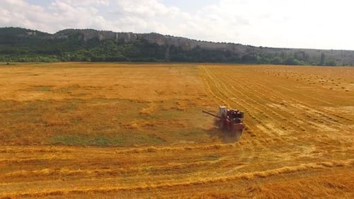 Harvester Rides the Field and Packs Hay