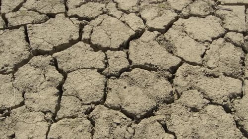 Dry Cracked Ground Close Up