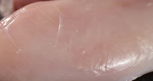 Fresh Raw Chicken Fillet Slowly Rotates.