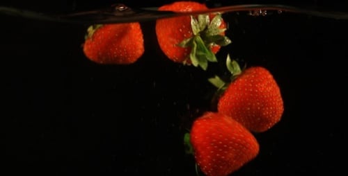 Strawberries Falling and Floating in Clear Water