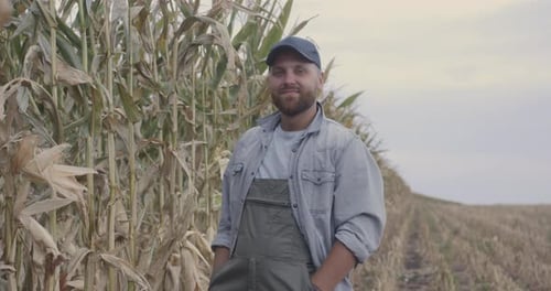 Happy Farmers Examining Corn in Field