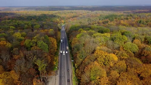 Road with cars in forest. Cars driving up the road through colorful autumn forest.