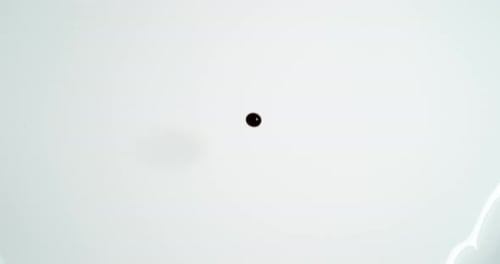 Blood Dripping against White Background, Slow Motion 4K