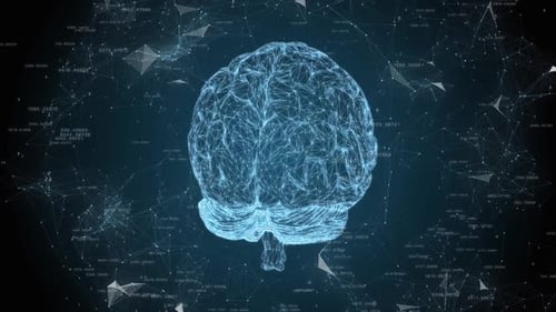 Digital Wireframe Brain with Neural Network Connections