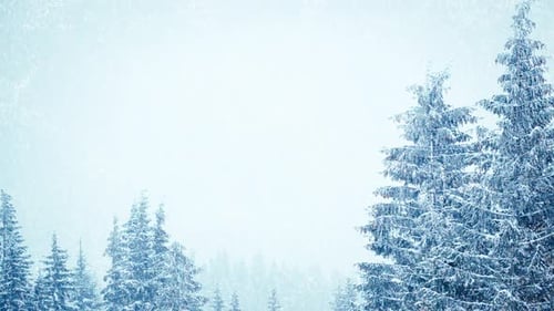 Hermosa nieve esponjosa en las ramas de los árboles